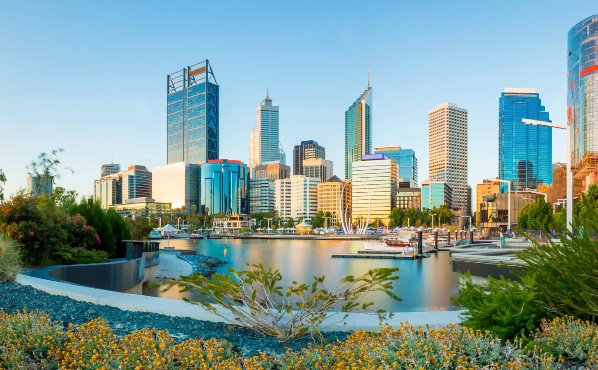 Elizabeth Quay Perth Wa With Wildflowers